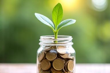 A growing plant in a jar of coins, symbolizing wealth management.